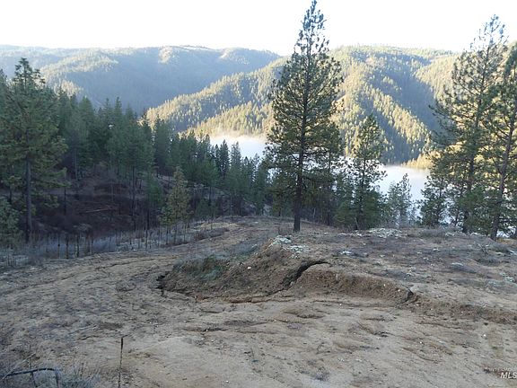 5th image of 1408 Carrot Ridge Rd