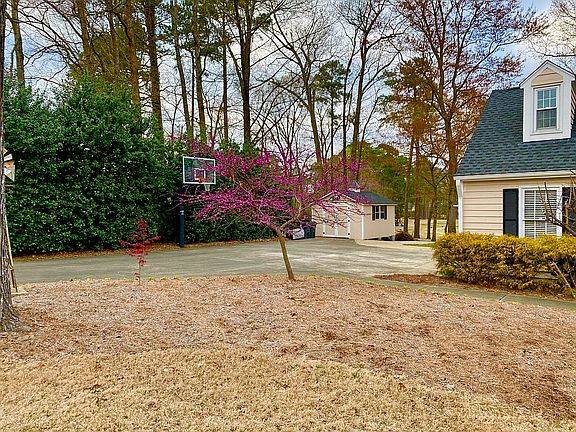 Gorilla Basketball Goal