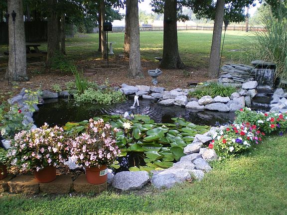 Backyard Pond