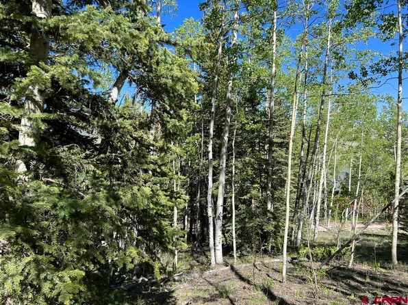 32081 Bristol Head Drive, Creede, CO 81130