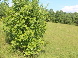 LOT 81 The Preserve Crook, Young Harris, GA 30582