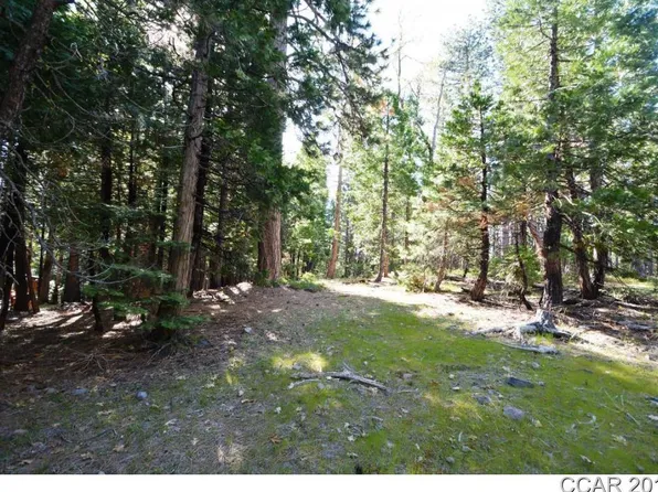 2183 Dardanelle Vis, Arnold, CA 95223