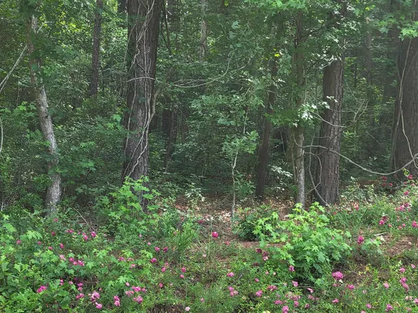 Lot 5-A Porter Road, Currie, NC 28435