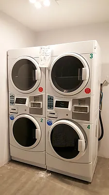 Rented by Bold New York | media 75