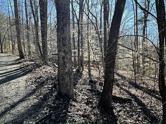 4th image of 30 Walden Cove Way Lot 30