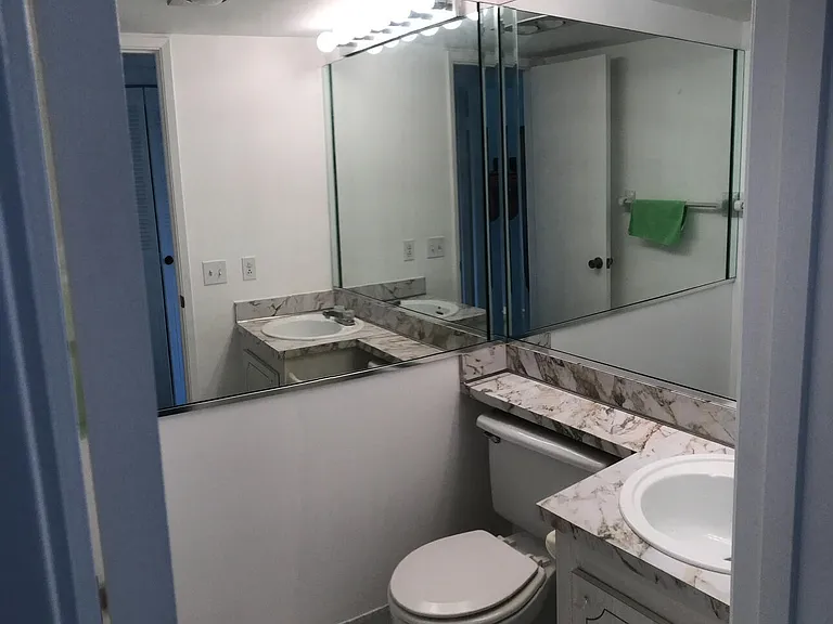 700 Village Green Ct #302 — Photo 11