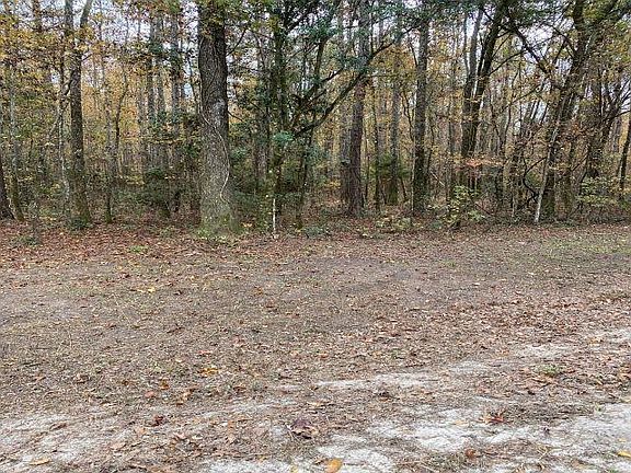 3rd image of Deer Run Ct