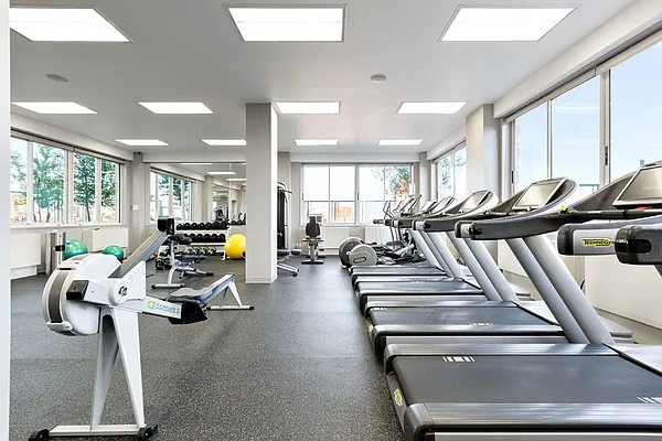 Rented by Manhattan Skyline | media 5