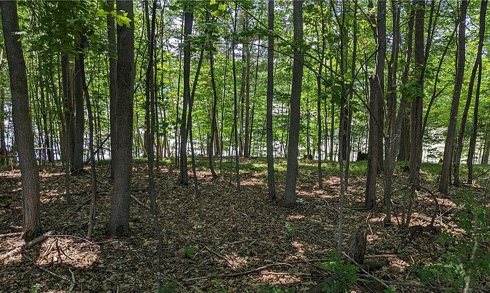 Lot 3 175th Ave, Bloomer, WI 54724 MLS 1574342 Zillow