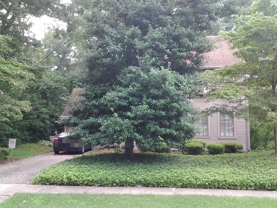 1st image of 647 Weston Dr