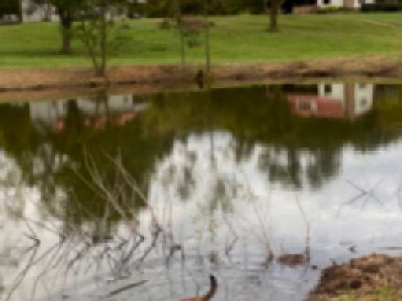 4th image of 4243 Beech Log Rd