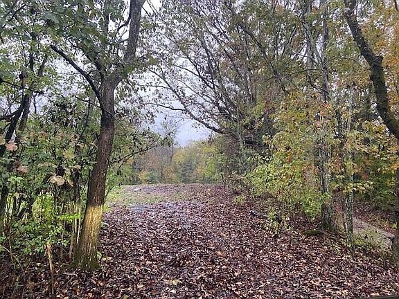 3rd image of 881 Galbraith Rd