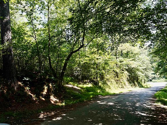 4th image of 0 County Road 1125 #0