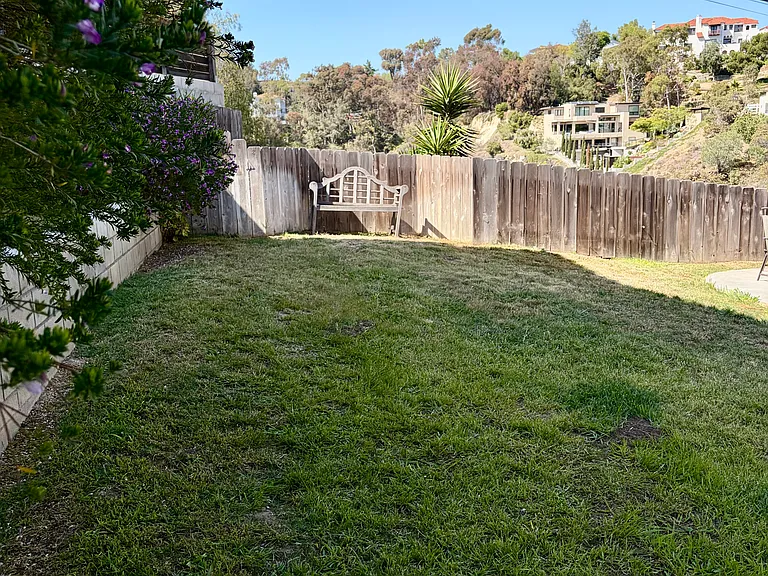 Shared Yard