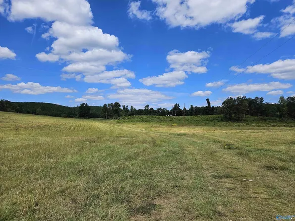 2 County Road 67, Piedmont, AL 36272