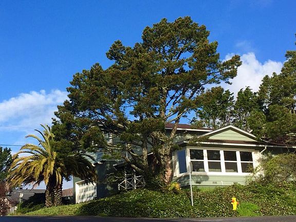 4th image of 1591 Monterey Dr