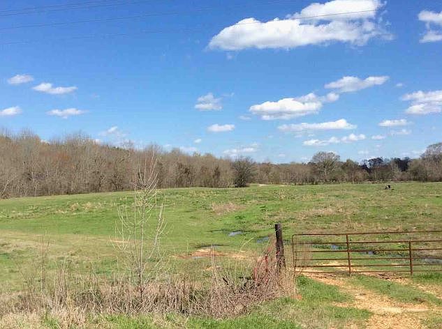 2nd image of 1243 Mowdy Rd