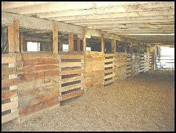 Inside of 12 Stall Bank Barn