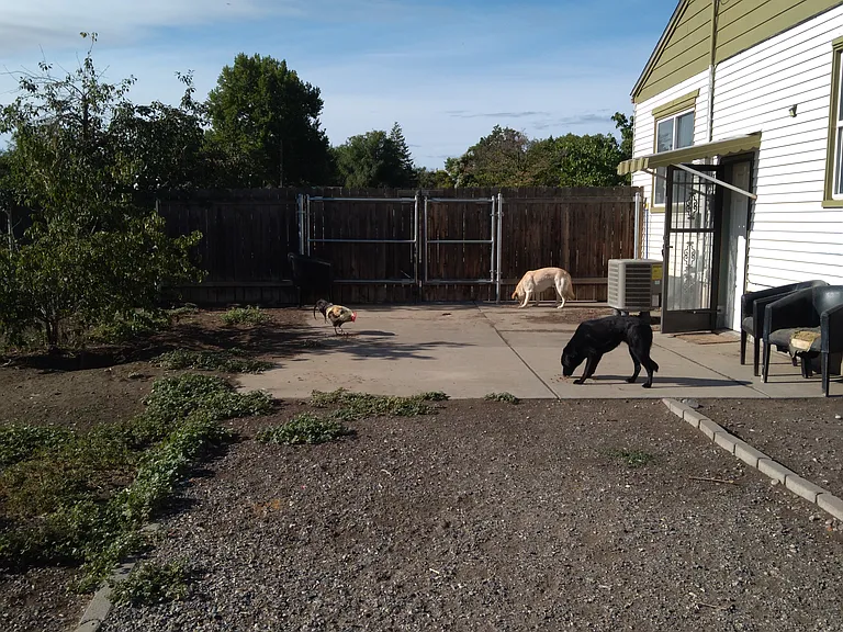 1022 W Bruneau Ave — Photo 6