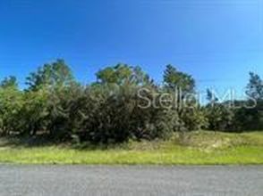 2349 W Oakland Ln, Citrus Springs, FL, 34434