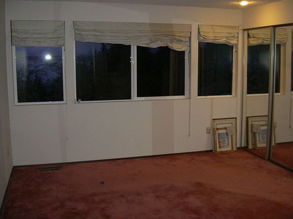 bedroom with windows