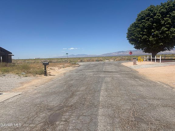 2nd image of Lime Ave