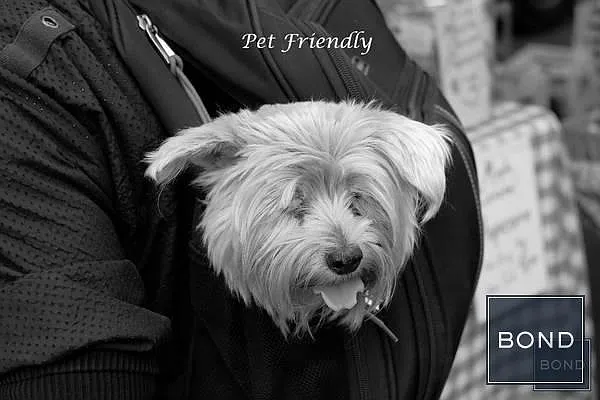 Sold by Bond New York | media 15