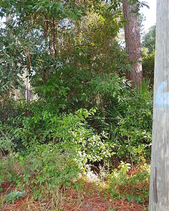 2nd image of 859 Saxon Blvd
