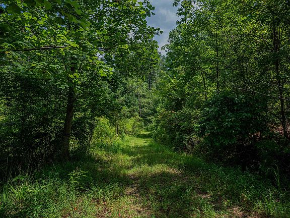 4th image of 1260 County Road 18 #0
