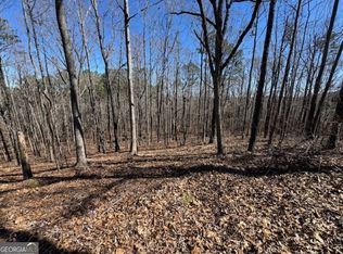 0 Brown Creek Rd, Shiloh, GA 31826