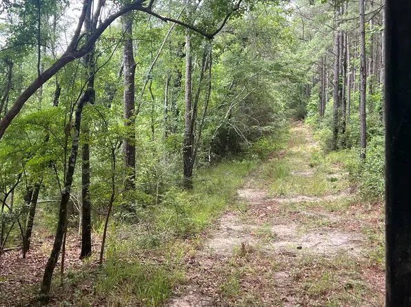 0 County Road 2270 Parcel A, Troy, AL 36079