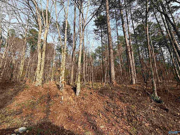 4th image of 250/ACRE S County Road 793