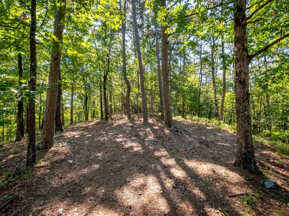 0 Burlingame Rd, Little Rock, AR 72223