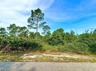 1313 Scott Ave, Lehigh Acres, FL 33972