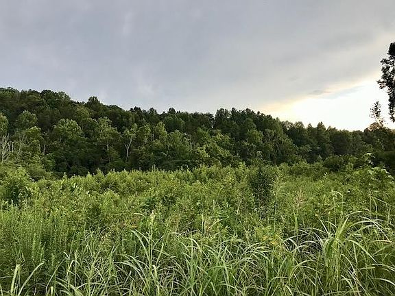 3rd image of 0 Blue Springs Rd