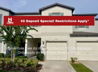 4427 Globe Thistle Dr, Tampa, FL 33619