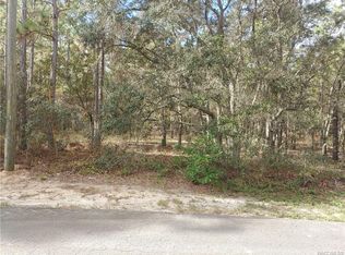 10 Milbark Ct, Homosassa, FL 34446