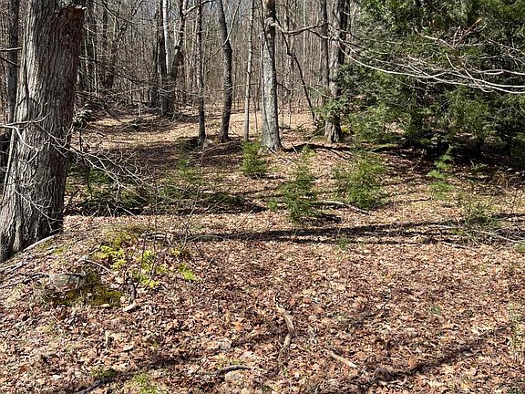 5th image of 427 West Rd