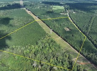 1627 County Road 65, Skipperville, AL 36374