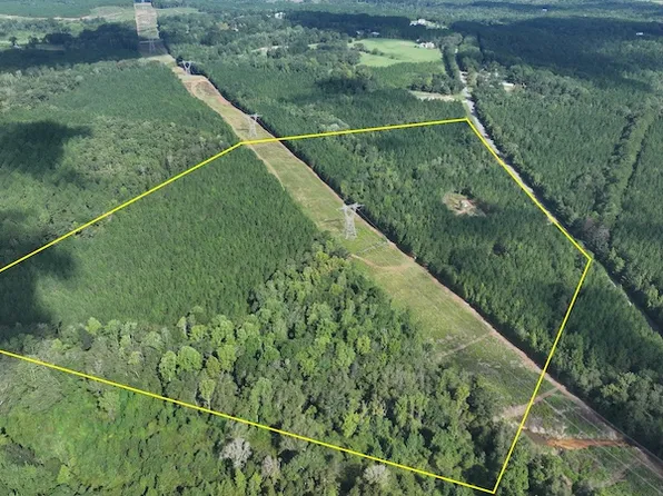 1627 County Road 65, Skipperville, AL 36374