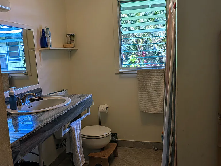 811 Waianuenue Ave — Photo 6