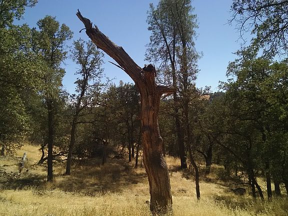 5th image of 1892 Pinto Dr