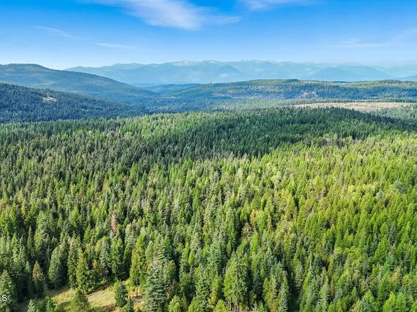 195 Hidden Forest Way, Sandpoint, ID 83864