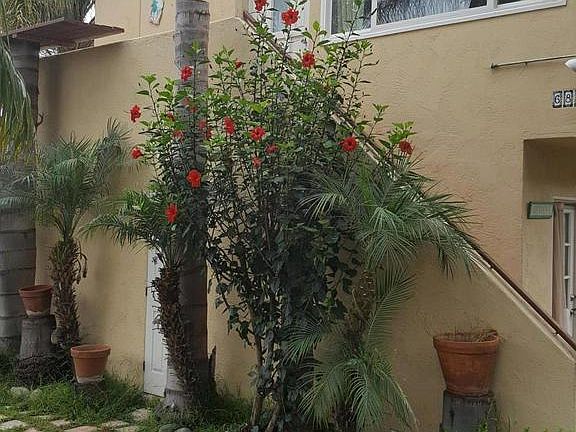 4th image of 6811 Ojai Ave