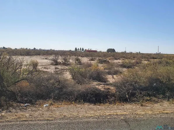 Pequeno Rd NE, Deming, NM 88030