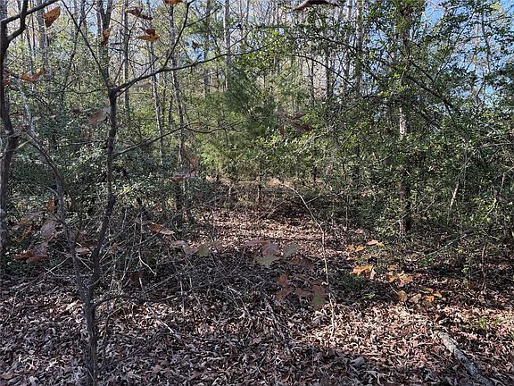 4th image of County Road 301 Tract Rd #7