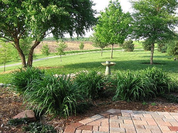 View from front porch