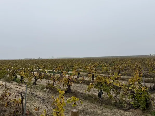 13242 S Willow Ave, Selma, CA 93662