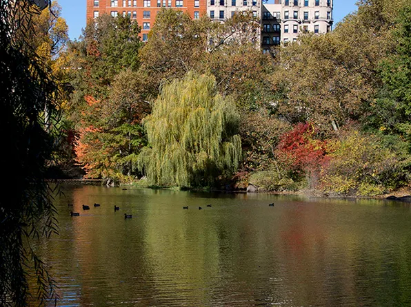 415 Central Park West