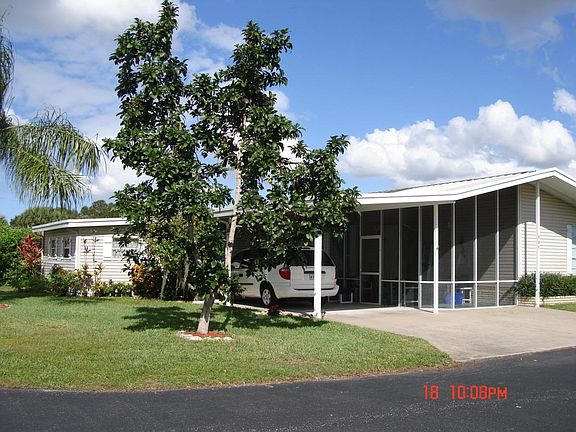 Front side with Avocado Tree